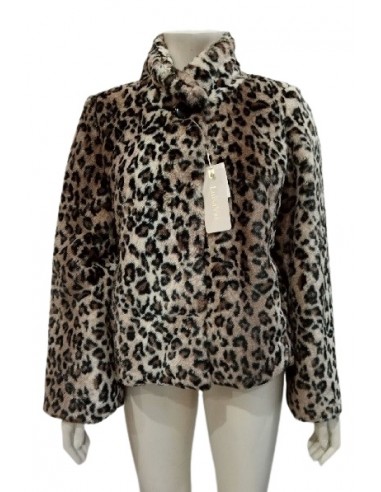 Pelliccia maculata, Luisa Viola