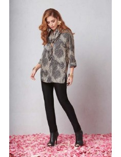 Casacca zebrata Quiin 21