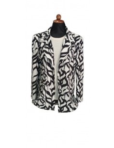 Giacca fantasia, Romi-Ho